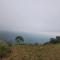 Badamane Jungle Stay - Jeep Ride & Mountain View - Chikmagalur