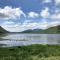 Bruíon Connemara