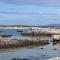 Bruíon Connemara