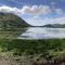 Bruíon Connemara