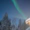 Hallahaukka
