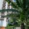 Dorisol Mimosa Studio Hotel