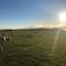 Knightsward Farm - Anstruther