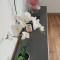 Be my Guest - Krucza Elegant Apartment - Rondo de Gaullea Center of Warsaw Metro Wi-Fi