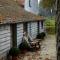 B&B Hoeve de Steenoven - Damme