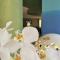 Hotel Club Koiné - أوترانتو