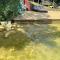 Lake House perfect for family of 10 Lake House perfect for family of 10