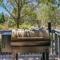 Pet-Friendly Coarsegold Vacation Rental with Deck! - Coarsegold