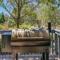 Pet-Friendly Coarsegold Vacation Rental with Deck!