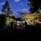 Conifer - Your Private Resort Pool Retreat