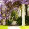 Norman Lindsay Cottage - Faulconbridge