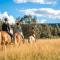 Glamping Laenlammen tila - Rovaniemi