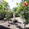 villino con giardino terrazzo e parcheggio privato