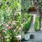 Rooms Garden - 佩特罗瓦纳莫鲁