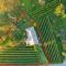 Cottage near river Kolpa, vineyards,top location.