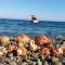 Κατοικία Πανόραμα, Πραγματευτή Λεωνιδίου, Τ.Κ.22300