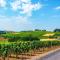 Trellis at Baptista Maresh Vineyard - Dundee