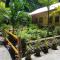 Marianitas cottages