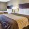 Comfort Inn & Suites near Tinley Park Amphitheater