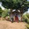 Punarjani Ayurvedic Resorts