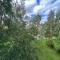 Birch view apartment