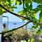 Villa Athena Skiathos
