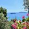 Villa Athena Skiathos - Меґалі-Аммос