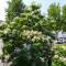 Hostel Levicki - Slavonski Brod
