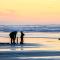 Sunset Dunes