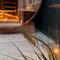 Charleys Wellness Suite