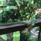 YEJOS Jungle Lodge