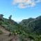 Casa Rural Chamorga - Pensión - Guesthouse -