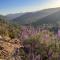 Ponderosa Creekside Retreat - Mariposa