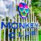Playa Palmera Beach Resort - 蓬塔卡纳