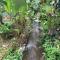 YEJOS Jungle Lodge