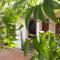 Nature Rock Dambulla