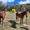 Redgate Homestead