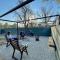 236 Vaal de Grace
