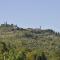 Podere Del Griccia