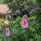 Greater Toronto B&B