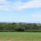 Primrose-Uk34614