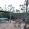 The Surfers Bush Cabin
