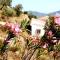 Casa Canillas - for solo travelers or small groups of 4 to 6 people - Canillas de Aceituno