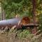 ~* The Spectacular Spyglass Treehouse *~ - Occidental