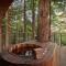 ~* The Spectacular Spyglass Treehouse *~ - Occidental