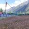 Sangla Valley Camping