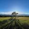 Simbonga Game Reserve & Sanctuary - Thornhill