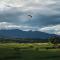 Northland Pai