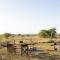 Africa Safari Serengeti Ikoma Camping