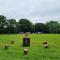 Glamping in style Emperor tent - Ifield